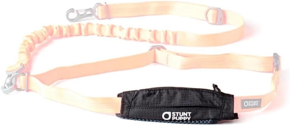 Stash Pocket for Leash