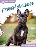 French Bulldogs (Dog Breeds)