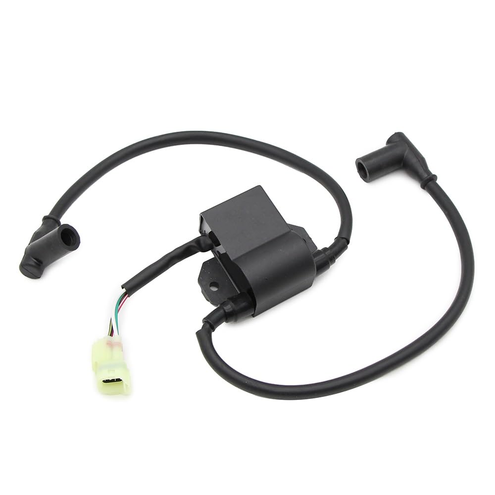 Bobina di accensione per Ski-Doo per Formula S per Skandic 380 500 500F 600F II 503 per Safari L 377 per Touring 380 440 500 420965591 420965757
