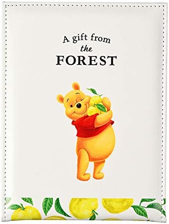 プレミアム ディズニーストア リバーシブル鏡 安いそれに目立つ