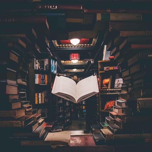 木已成书 copertina