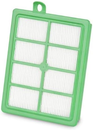 Clean Obsessed Filtro de repuesto para Eureka compatible con los modelos 6978, 6980, 6983, 6984, 6993, 6994, 6997, 6998 6140, 6160 y 6235, reemplaza
