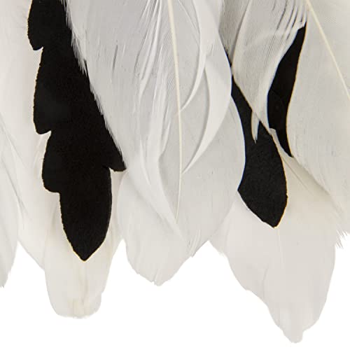 Instincts by SmartyKat HappyNip Zingy Zebra Feathered Toss & Chase Interactive Cat Toy, Contains Catnip & Silvervine - White/Black, One Size