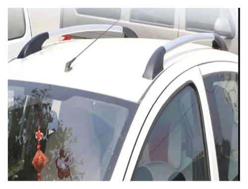 Modification de toit voiture : support décoratif en alu perforé 140cm