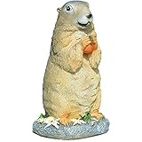 Ausgezeichnete Verarbeitung Mini-Gartenfiguren, perfekte Dekoration für Zuhause oder Büro ..