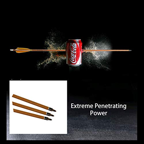 Letszhu Archery Carbon Arrows 500 Spine With Helical Real Feathers And Removable Tips For Compound Recurve Bow (6 Pack) #TOP5