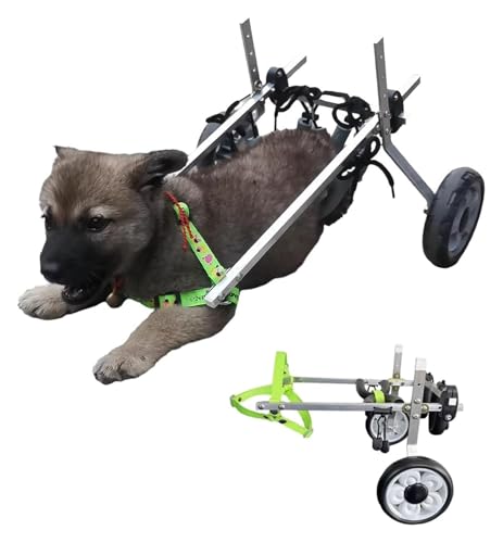 Poussette assistée et chariot de marche pour chien handicapé lors des balades en forêt