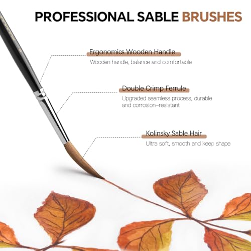 Image of Watercolor Brushes Professional, Fuumuui 2pcs Kolinsky Sable Brushes, 1pc Pure Squirrel Mop Wash Round Brush & 1pcs Extended Needle Point Brush Perfect for Watercolor Acrylic Gouache Inks
