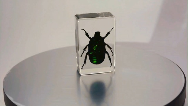 Image of 44mm Real Green Flower Chafer Beetle in Crystal Clear Lucite Resin Specimen Torynorrhina Flammea Preserved Insect Bug Taxidermy Crafts Collection for Biology Science Education & Desk Ornament Display