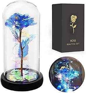 JUSTOYOU Rose Gifts for Women,Mothers,Wife Gifts,Colorful Artificial Rose Flower Gifts for Women,Forever in Glass Dome,Rainbow Rose Flower for Birthday,Christmas Mothers Day Decorations(Blue)