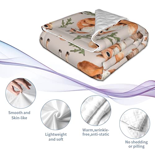 Duduho Cute Forest Animals Baby Blankets Soft Warm Fuzzy Plush Squirrel Mouse Fawn Fox Hare Hedgehog Bird Bed Throw Blanket For Newborn Infant Toddler Girls Boys Kids, 30"X40" #TOP3