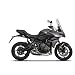 3P System Triumph Tiger 660