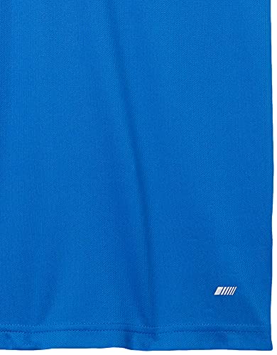 Amazon Essentials Men's Performance Tech Muscle Tank T-Shirt, Pack Of 2, Medium Grey/Royal Blue, X-Large #TOP5