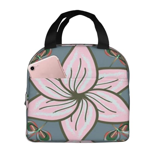 fM`obOAeʁAhAMRh~AX^CbVŏvAdAwZAAEghAɕ֗Ajpiʉ̃j[gO[ƃIW̉ԁj