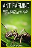 Ant Farming: How to Start and Grow Your Own Ant Colony