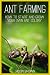 Ant Farming: How to Start and Grow Your Own Ant Colony