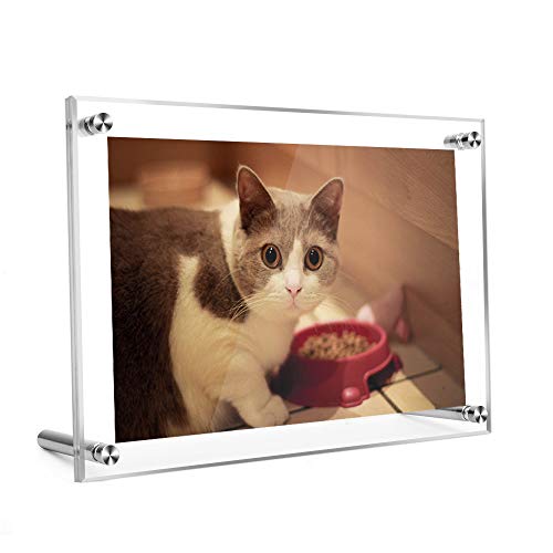 seeoe ANtHgt[ L NA X^h^Cv ANtHgX^h cu u Ǌ| ʓ ʐ^ ܏ F菑 ؂G W{ G EGJ{[hȂǑΉ WtHgTCYF127x89mm