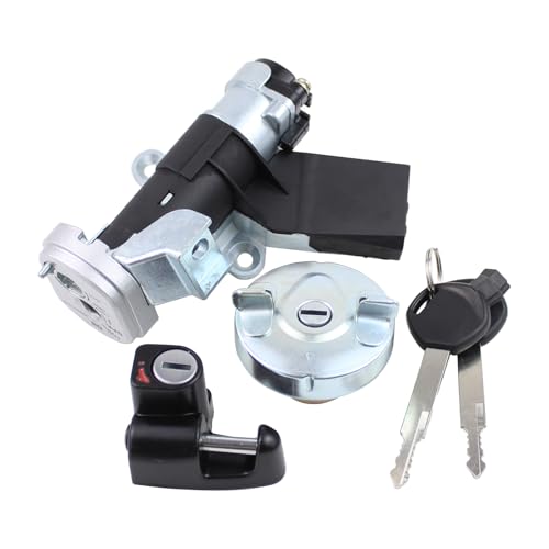 DriveFix Ignition Switch Lock Key and Gas Fuel Tank Cap