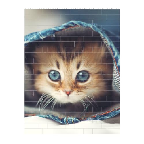 Y{̒̔L ςݖ؃pY WO\[pY mߋ  l q NX}X a 16.7x22.3cm