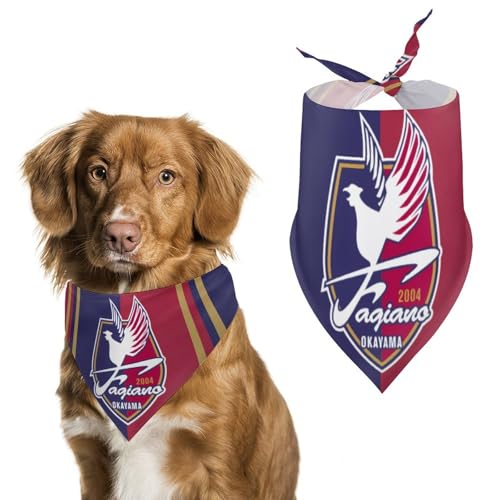 t@WA[mRFC p}t[ ybgpOp  Xk[h ybg _炩 킢 pt^I ybgpi