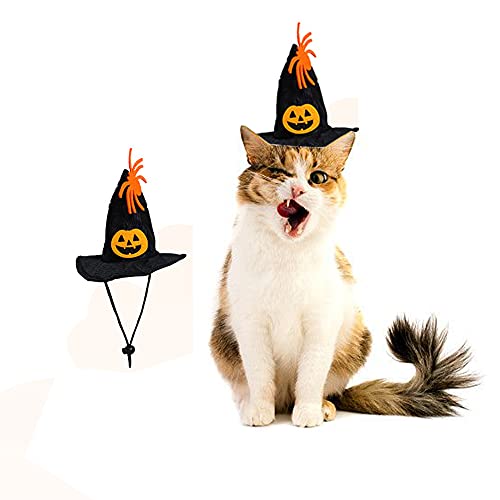 Beautifultracy Cat Halloween Costumes Adjustable Halloween Pet Pumpkin Hat Halloween Party Pet Costumes Suitable for Small and Medium-Sized Cats and Dogs