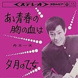 あゝ青春の胸の血は 歌詞