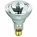Feit Electric 100BR30/FL-12 100-Watt R30 12-Volt Pool/Spa Flood Reflector