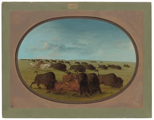 Tableaux Animal accidenté George Catlin affiche déco murale pour un salon chaleureux