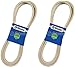 2 Pack Stens 265-730 OEM Replacement Belt Hustler 791335