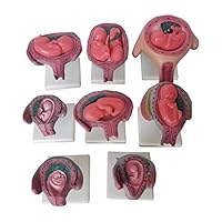 あなたの受胎能力を管理する あなたの受胎能力を管理する あなたの受胎能力を管理する : 自己観察