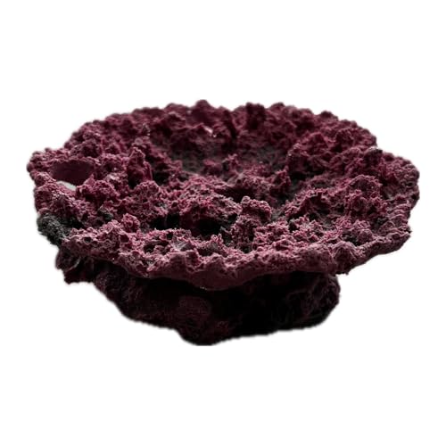 Ocean Aquaria 5 Hole Acropora Coral Plate Frag Rack/Rock for Live Coral Plug Ons for Reef Aquariums...