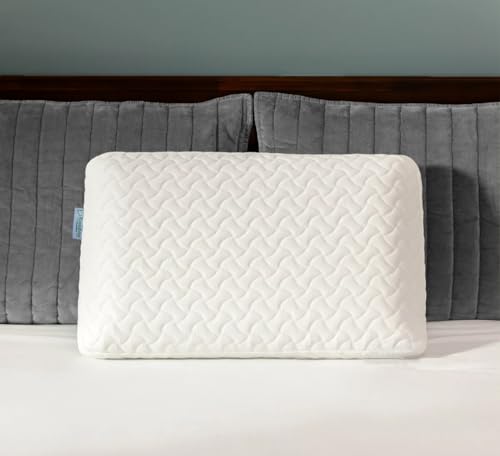 Ecosafeter Memory Foam Kissen - Orthopädisches Nackenstützkissen Hochdichtes Material kann den Nackendruck Besser lindern Ergonomisches Kopfkissen...