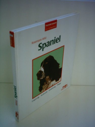  Spaniel