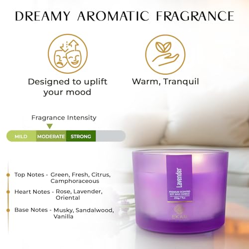 Image of EKAM 3 Wick Soy Wax Scented Candle | Lavender Fragrance | 35 Hr Burn | Long Lasting Premium Jar Candle for Home Decor, Relaxation & Aromatherapy