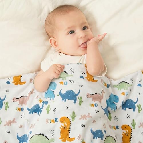 Image of Baby Nursery Bed Blankets Ultra Soft Double Layer Mini Blanket Minky Blanket Receiving Blankets Shower Gifts(Dinosaur,30 * 47in)