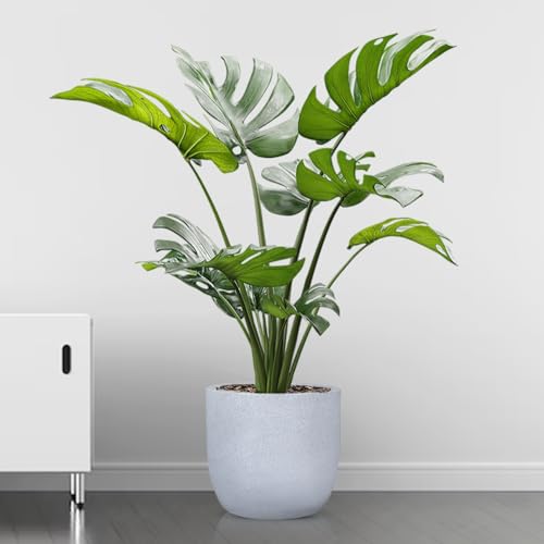 Image of BonKaso 14 inch White Pot - Tall, Durable & Lightweight Polymer Jaguar Round Planter for Indoor & Outdoor Use: Home, Office, Garden & Balcony (Gamla /Gamale)