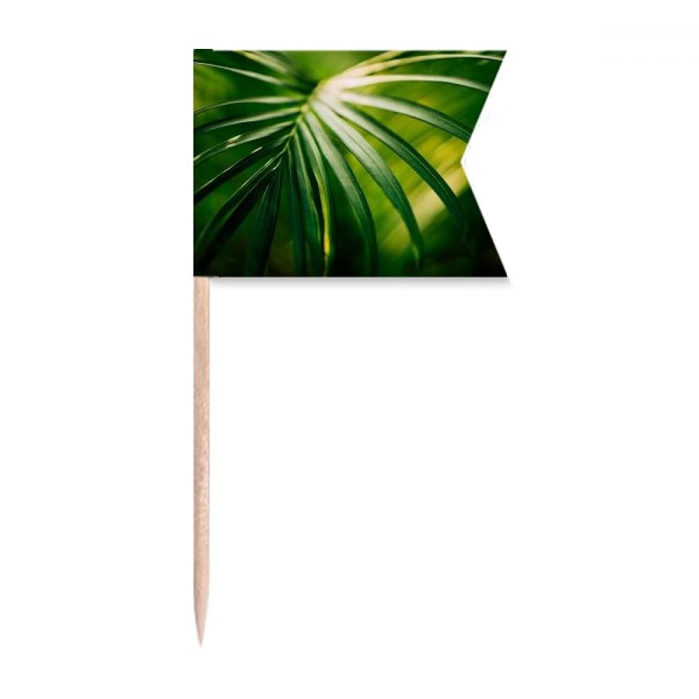 Plante à feuilles vertes pour gâteau de fête afin de réussir vos décors de table