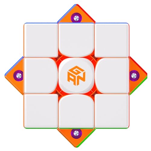 GANCUBE �K���L���[�u GAN V100 Leap Year of the Horse �ߔN �V�n ����� �X�s�[�h�L���[�u 3x3 ���Γ��� ���Z�p ���̃p�Y��