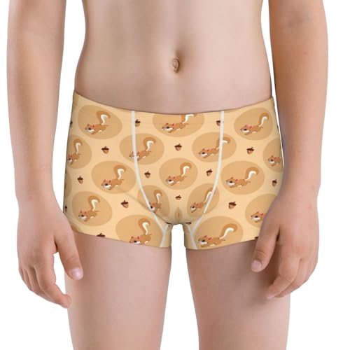 Boys' Cotton Boxer Brief Soft Underwear-Squirrel And Nuts