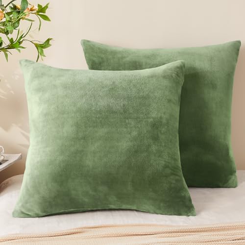 Image of BEDELITE Velvet Pillow Covers with Zipper, Sage Green, 26x26 Inches, 2 Pack