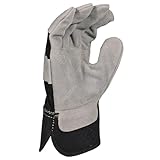 DEWALT DPG41 Premium Split Cowhide Lather Palm Glove, Multi, Large (DPG41L)