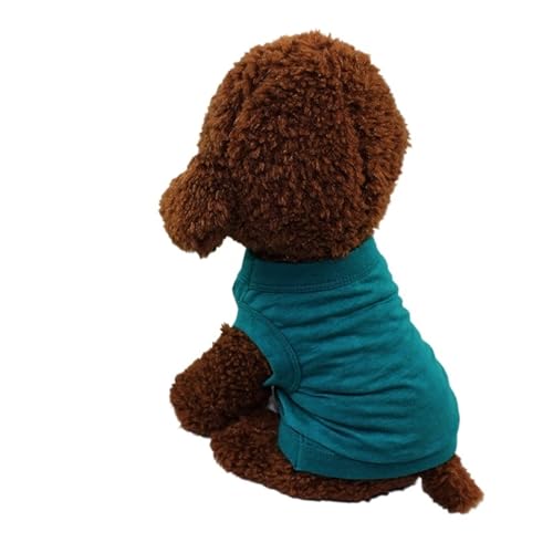 ybgxXg pVc ėp  n ^ ^ ^p 2Zbg(Green 1,3XL)