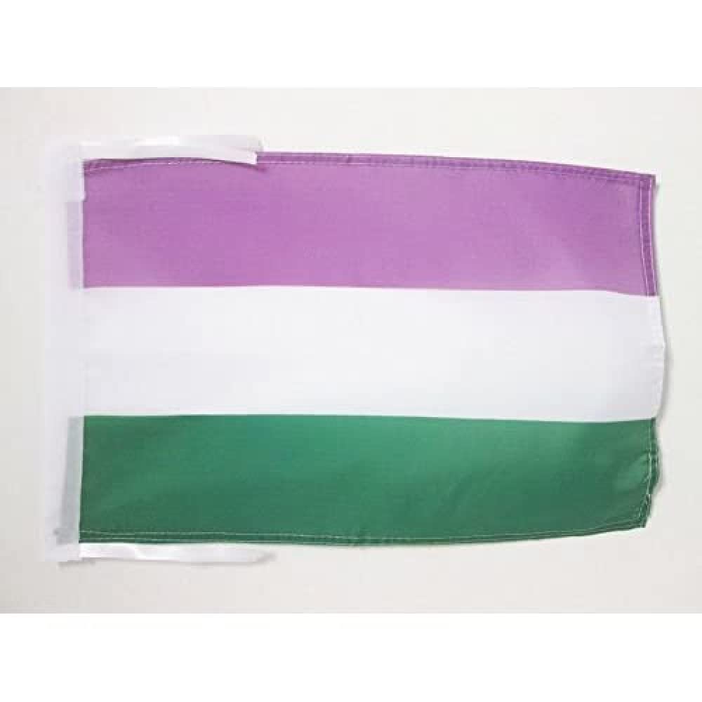 AZ FLAG, Genderqueer Pride Flag, 18'' x 12'', 100% Polyester rainbow Small Banner with Two Cords, Fade Resistant