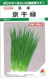 【種子】ネギ 京千緑 タキイ種苗のタネ