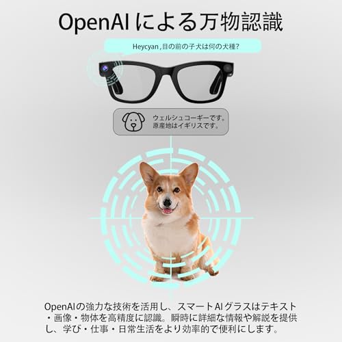 ERVPES G300(L) AI スマートメガネ の商品画像 6