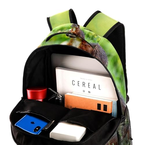 Sac à dos d'école ergonomique et résistant motif écureuil