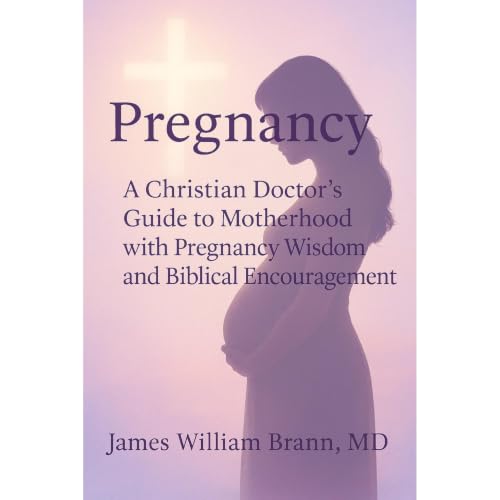 Pregnancy Audiolibro Por James William Brann MD arte de portada