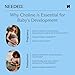 Needed. Prenatal Choline+ Liquid Capsules for Cognitive Development - Choline Supplements For Pregnancy - Aids Baby Brain Development & Supports Healthy Pregnancy - Third Party Tested - 30 Liquid Caps