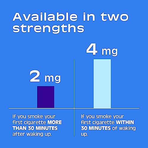 Image of Nicorette Quit Smoking Gum by Nicorette (Pack of 12)