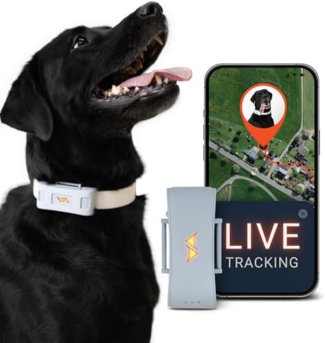 PAJ Localizador GPS para Perros 4G - Alarmas de Fuga + Seguimient...
